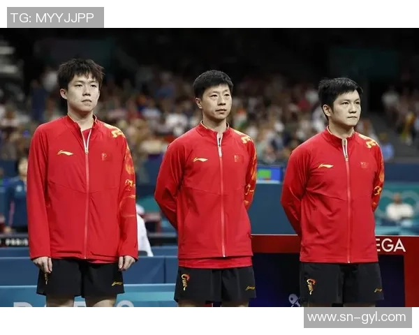 杭州乒乓球队实力强劲最新乒乓球力量排行榜前十名揭晓