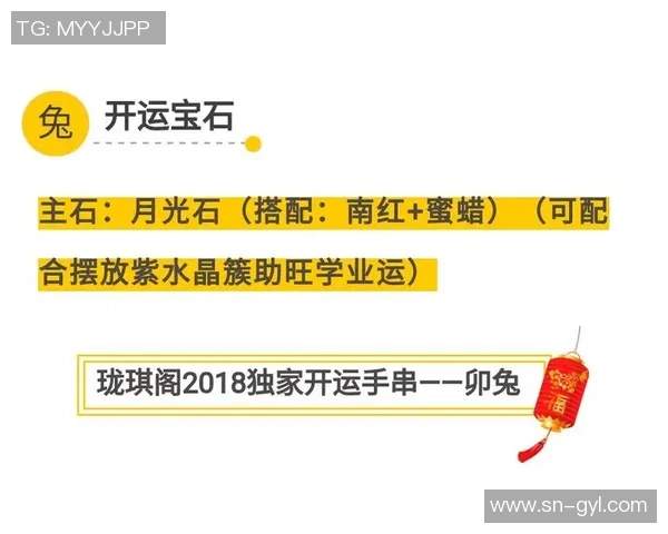 独家解析北京排球队配合策略与其他球队的差异与优势分析 独家解析北京排球队配合策略与其他球队的差异与优势分析
