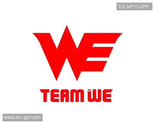 英雄联盟深度解析：揭开WE战队选手个人能力的神秘面纱